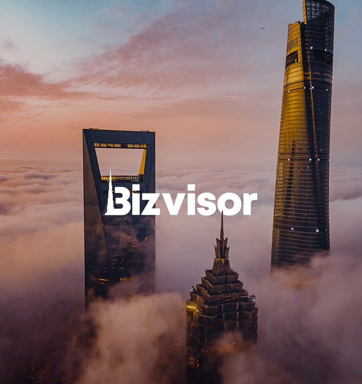 bizvisor-1