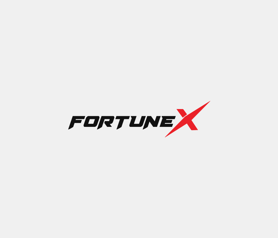 fortunex-img4